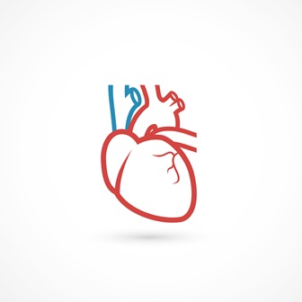 Эндокардиальное электрофизиологическое исследование сердца