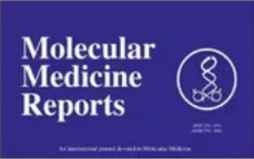 Whole exome sequencing in Russian children with non type 1 diabetes mellitus reveals a wide spectrum of genetic variants in MODY related and unrelated genes